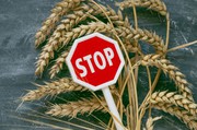 Набуло чинності рішення ЄС про заборонні мита на імпорт зерна з рф і Білорусі