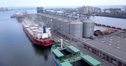 У першій половині 2024 року порт Констанца знизив обсяги перевалки зерна