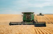В Україні цьогоріч очікують зібрати врожай у 75 млн т - депутат