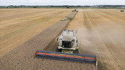 В Україні намолочено понад 8 мільйонів тонн зерна