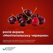 “Мелітопольська черешня” – українська: урядова делегація звернулася до Генасамблеї ВОІВ через крадіжку рф географічного зазначення