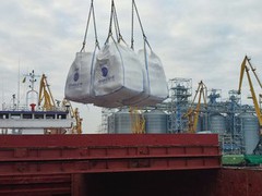 У 2023/24 МР Астарта експортувала продукцію у 46 країн світу