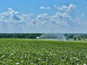 ОВК «Лесині джерела» перша запустила реформу гідротехнічної меліорації на Поліссі