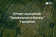 Старт аукціонів "Земельного банку": рівні умови для всіх учасників