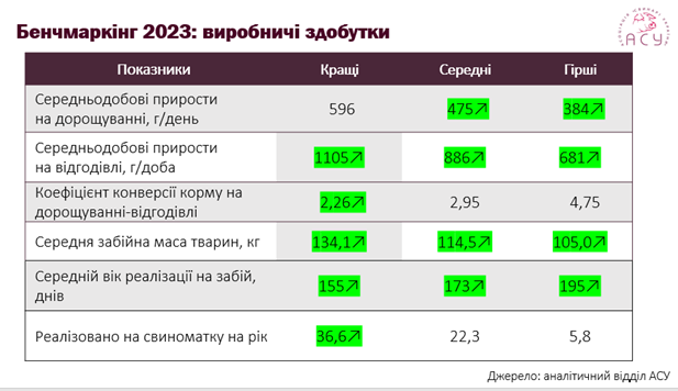 Промислове свинарство: розвиток попри все