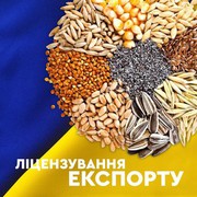 Мінекономіки опублікувало Проект постанови "Про затвердження переліків товарів, експорт та імпорт яких підлягає ліцензуванню, та квот на 2025 рік"