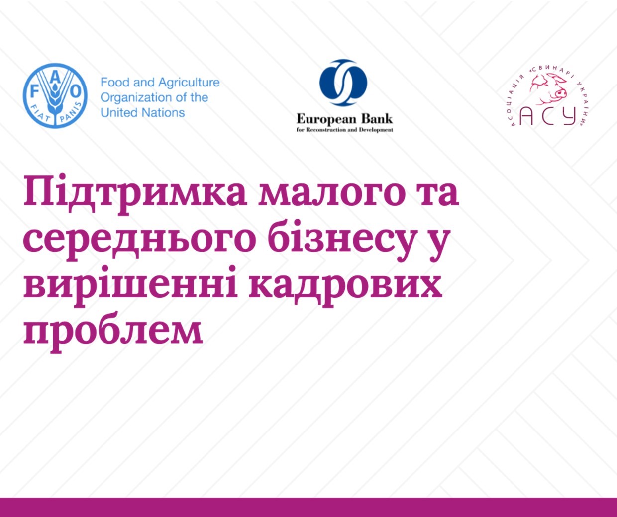 Підтримка малого та середнього бізнесу у вирішенні кадрових проблем