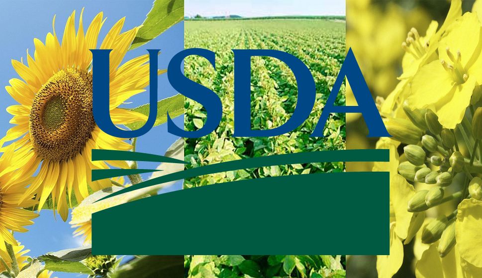 Експерти USDA різко знизили прогноз світового виробництва олійних у 2024/25 МР, зокрема урожаю сої у США