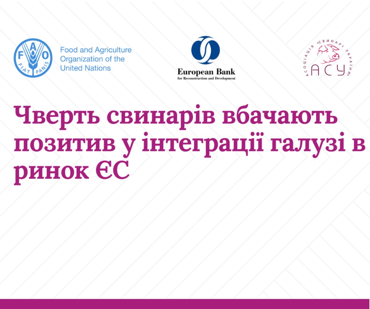 Чверть свинарів вбачають позитив у інтеграції галузі в ринок ЄС