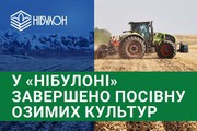 У «НІБУЛОНі» завершено посівну озимих культур