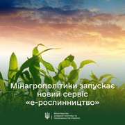 Мінагрополітики запускає новий сервіс еРослинництво