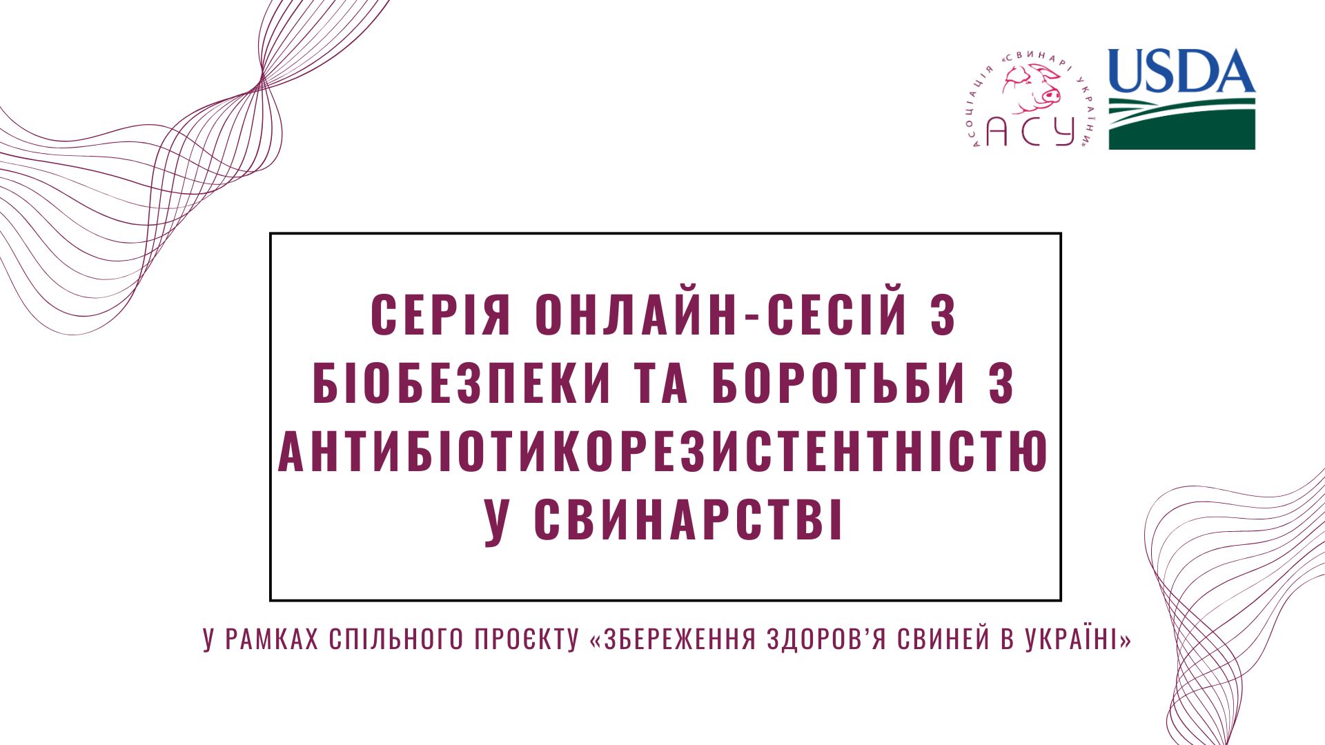 Серія онлайн-сесій з біобезпеки та боротьби з антибіотикорезистентністю у свинарстві