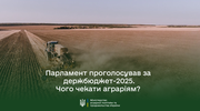 У прийнятому Держбюджеті на 2025 рік на підтримку агросектору передбачено понад 6 млрд грн