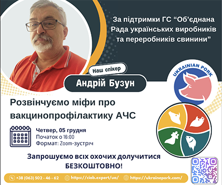 Африканська чума свиней: скільки в ній африканського і до чого тут вакцина