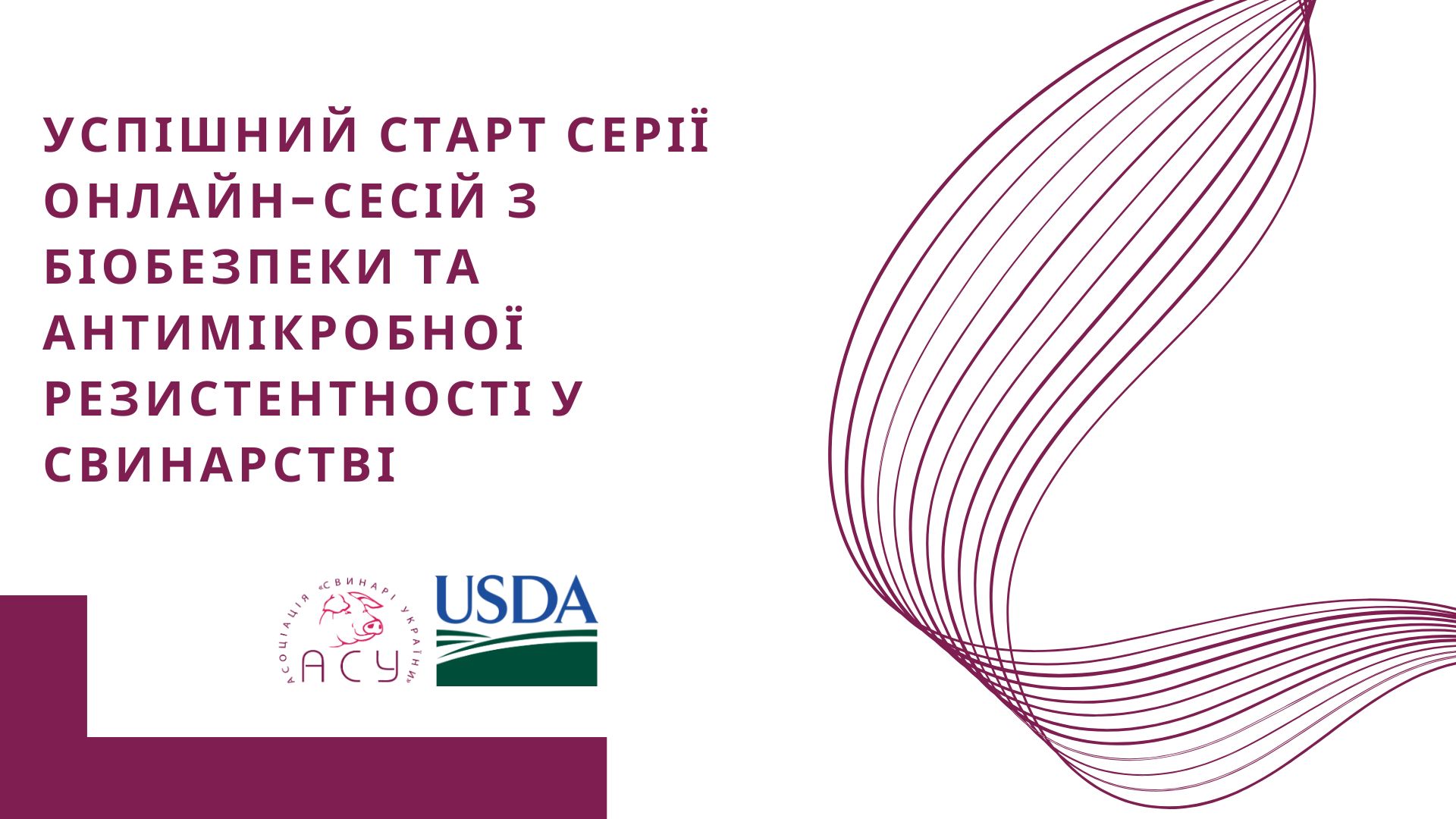 Успішний старт серії онлайн-сесій з біобезпеки та антимікробної резистентності у свинарстві