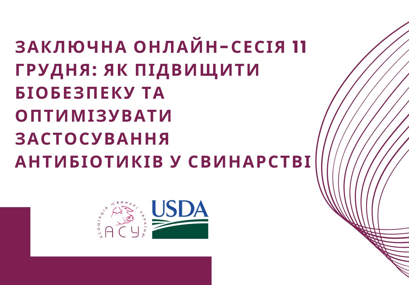 Заключна онлайн-сесія 11 грудня: як підвищити біобезпеку та оптимізувати застосування антибіотиків у свинарстві