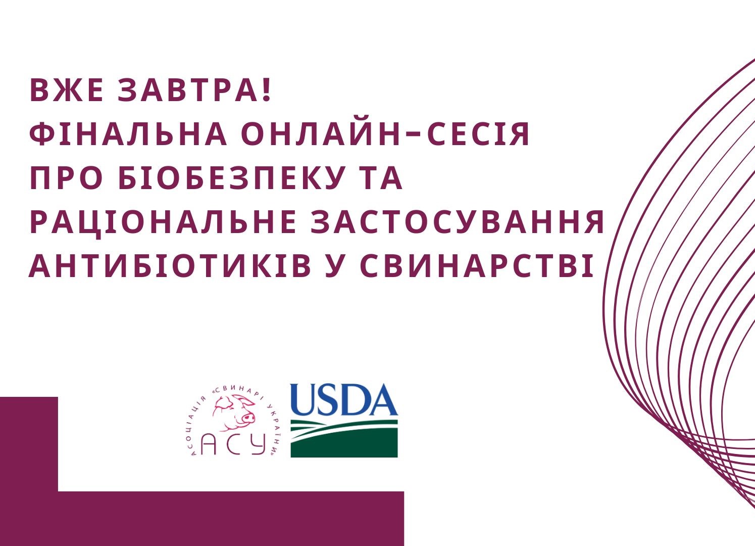 Вже завтра! Фінальна онлайн-сесія про біобезпеку та раціональне застосування антибіотиків у свинарстві