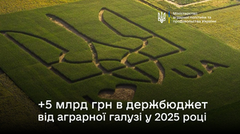 Державний бюджет додатково отримає 5,2 млрд грн від аграрної галузі у 2025 році