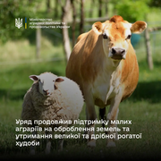 Уряд продовжив підтримку малих аграріїв на оброблення земель та утримання рогатої худоби