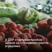 У ДАР розпочався прийом заявок на отримання грантів для агровиробників