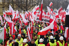 Польські фермери анонсували мітинг проти політики ЄС та імпорту з України