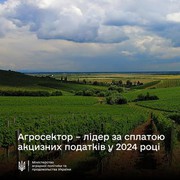 Агросектор – лідер за сплатою акцизних податків у 2024 році