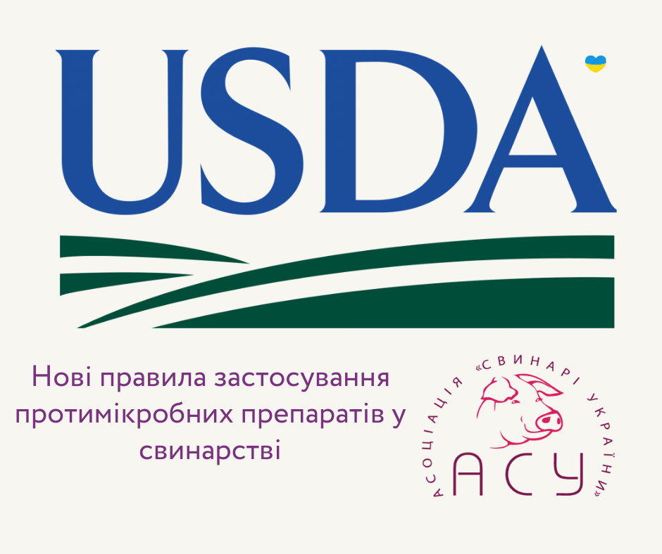 Нові правила застосування протимікробних препаратів у свинарстві