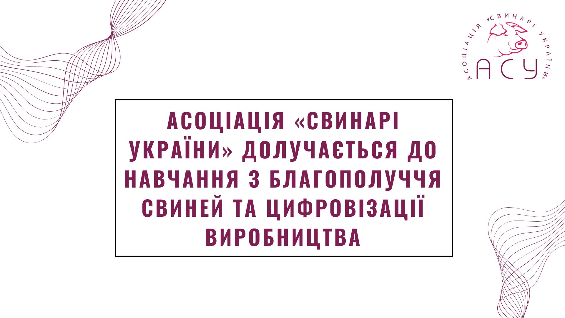 Асоціація «Свинарі України» долучається до навчання з благополуччя свиней та цифровізації виробництва