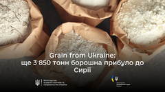 Україна відправила чергову партію гуманітарної допомоги до Сирії в рамках ініціативи «Зерно з України»