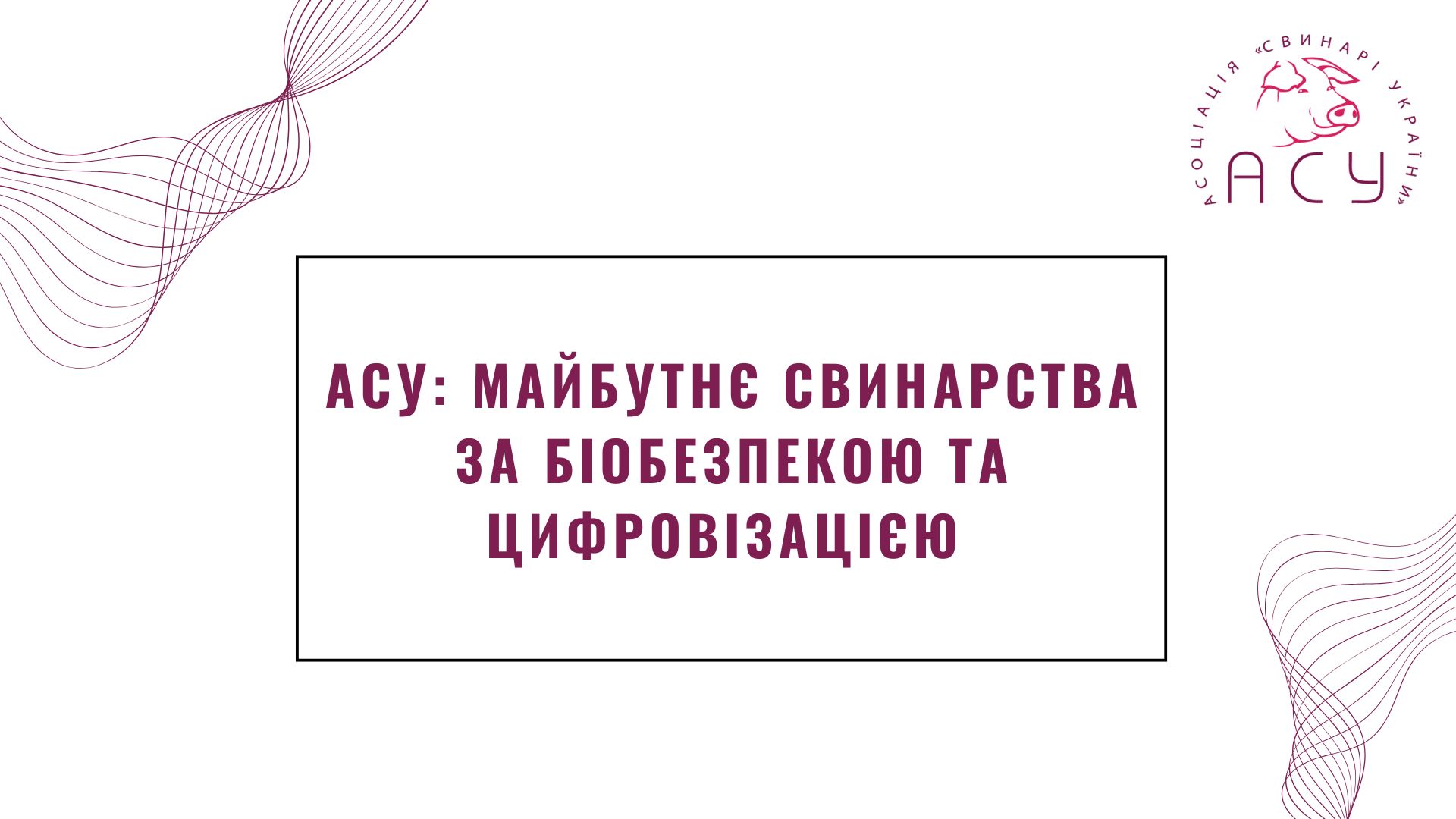 АСУ: майбутнє свинарства за біобезпекою та цифровізацією