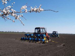 Аграрії засіяли вже 2 млн га ярих зернових і зернобобових культур