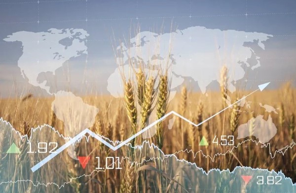 Зафіксоване у квітні зростання цін на зернові, молочну продукцію та м’ясо призвело до збільшення значення Індексу продовольчих цін ФАО