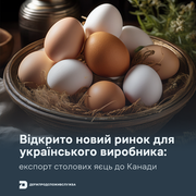 Канада відкрила ринок для українських яєць