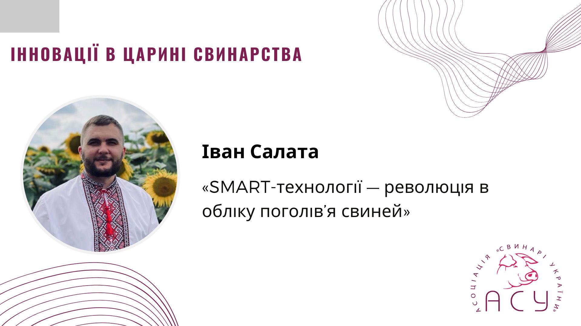 SMART-технології в обліку свиней: як інноваційні системи допомагають у виробництві