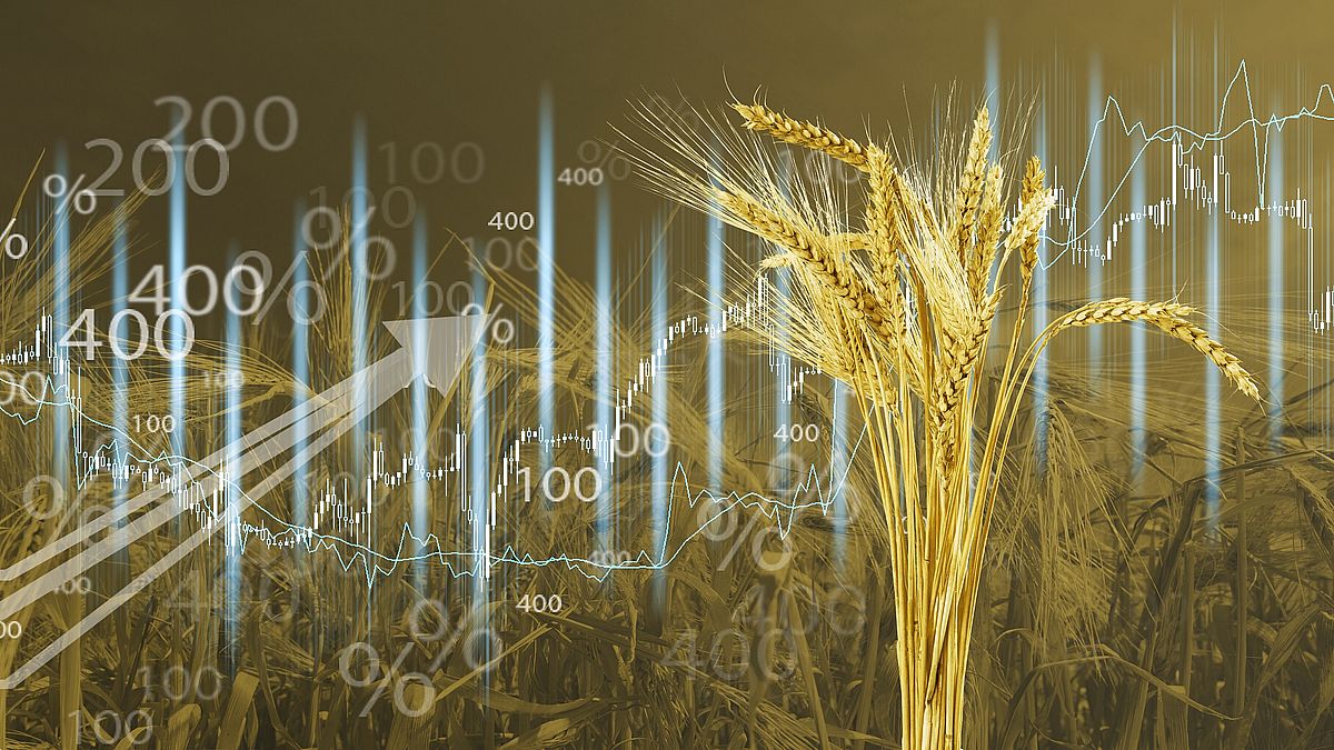 Затверджено мінімальні експортні ціни агропродукції на травень
