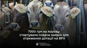 У ДАР стартує добір на спеціальну бюджетну дотацію на утримання поголів’я корів