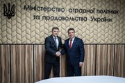 Албанія зацікавлена в імпорті з України м’яса