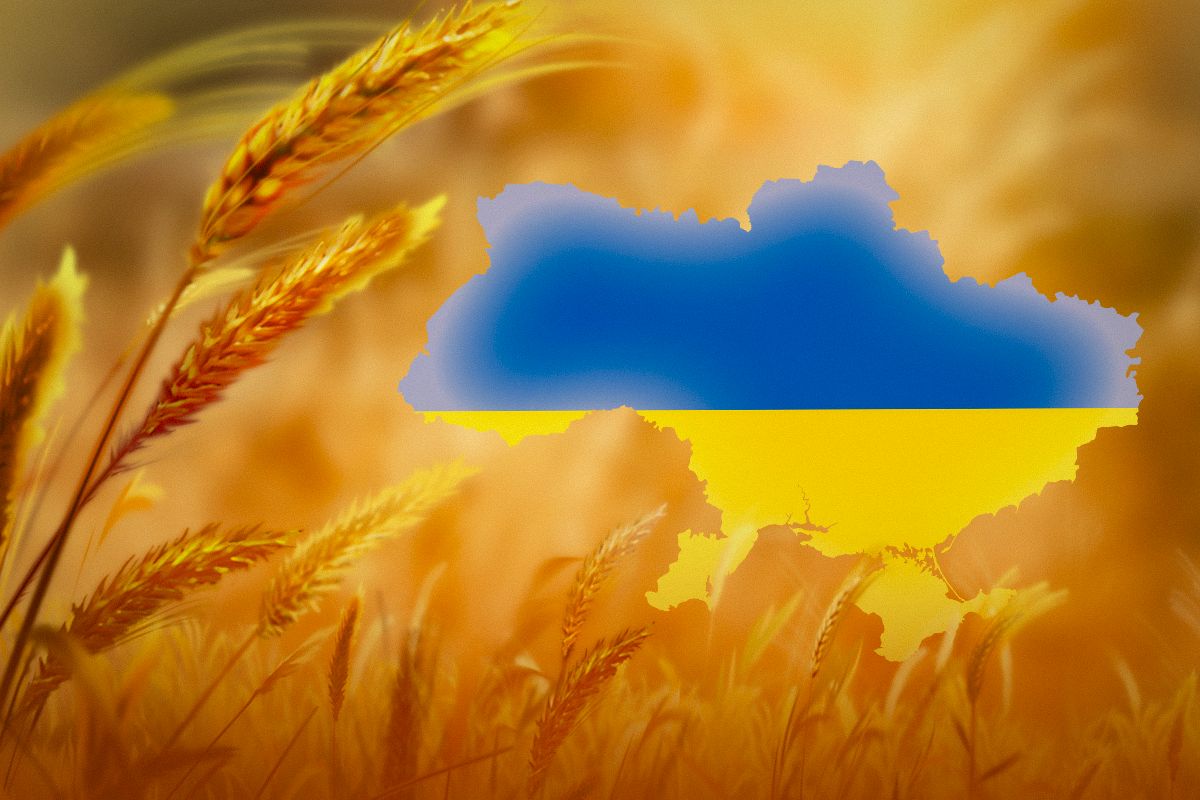 Українські аграрії зібрали майже 20 млн тонн зернових та зернобобових культур