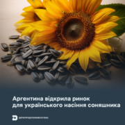 Аргентина відкрила ринок для українського насіння соняшника