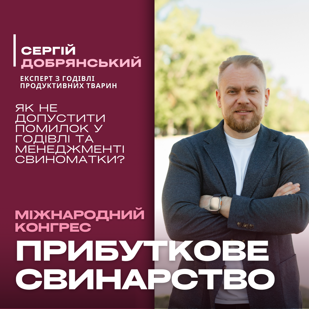 Як уникнути помилок у годівлі та менеджменті свиноматок: експертні поради Сергія Добрянського