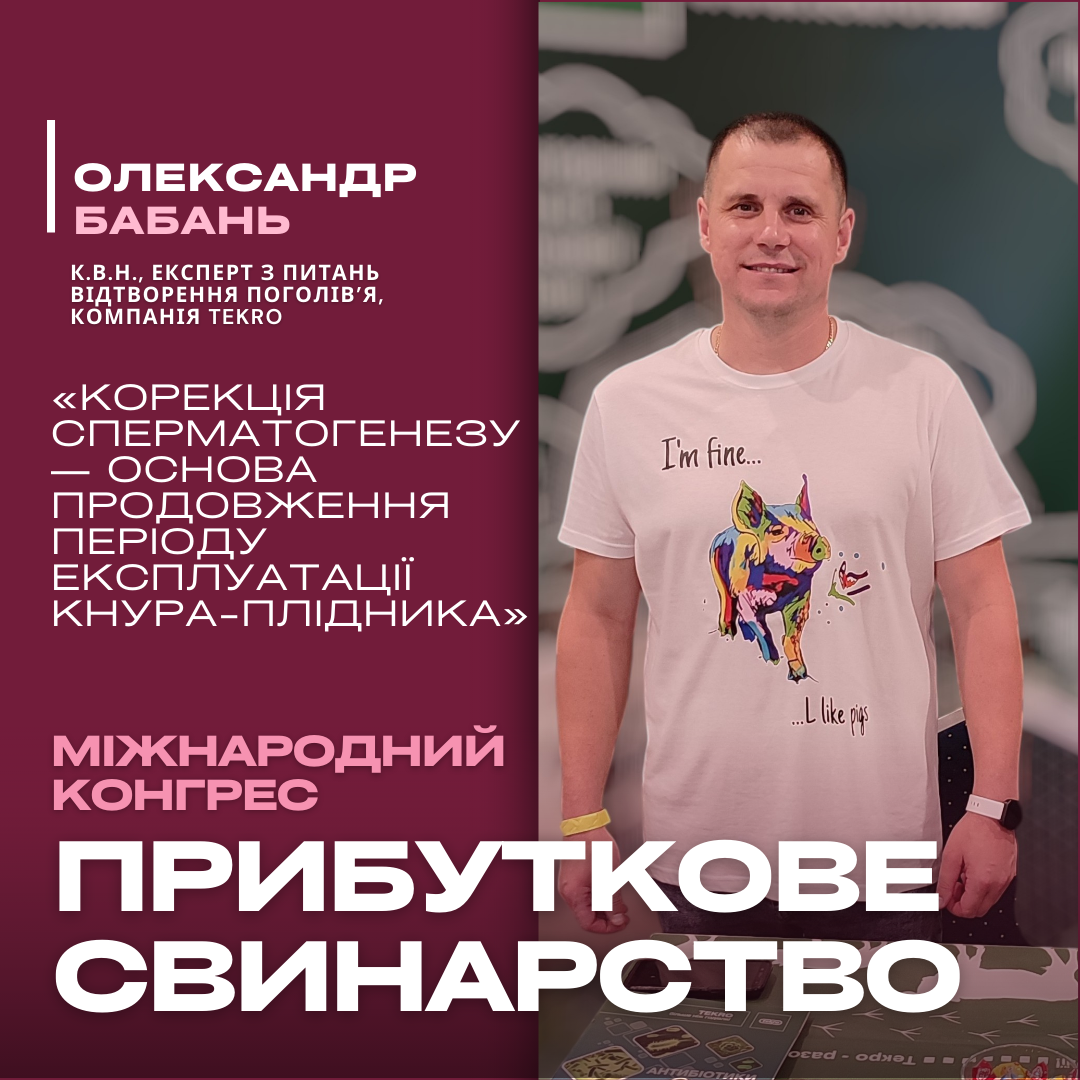 Корекція сперматогенезу: як продовжити продуктивність кнура-плідника