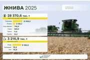 Українські аграрії зібрали 28,4 млн т зернових і зернобобових культур