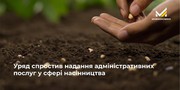 Уряд спростив надання адміністративних послуг у сфері насінництва