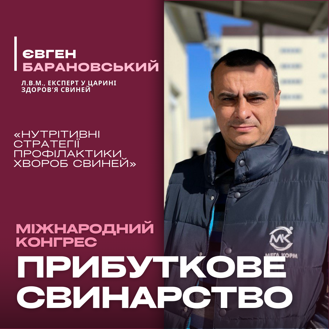 Раціон як інструмент профілактики хвороб: інноваційні стратегії для сучасного свинарства