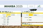 Українські аграрії зібрали 28,8 млн т зернових культур