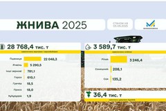 Українські аграрії зібрали 28,8 млн т зернових культур