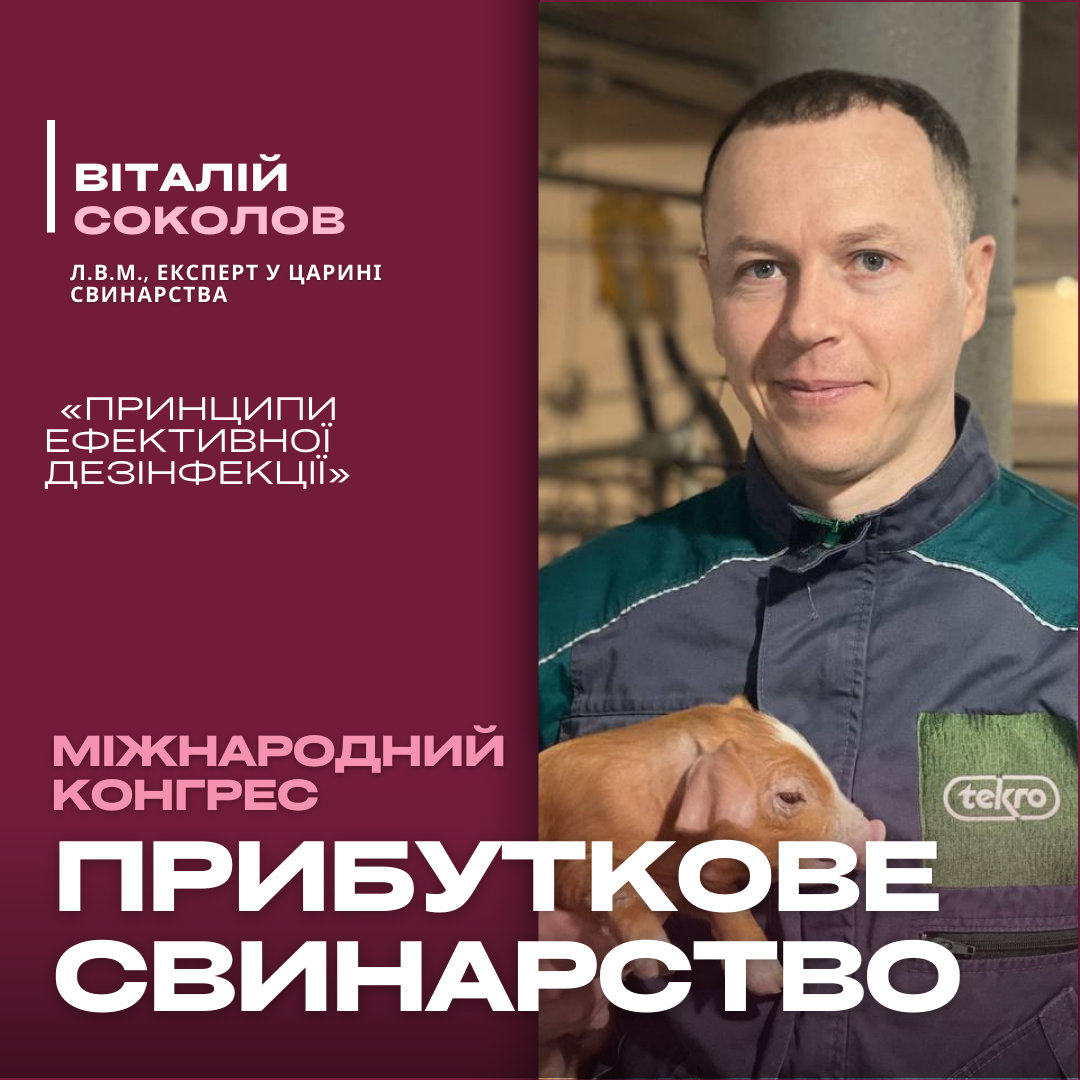 Дезінфекція без компромісів: як захистити свинарське господарство від ризиків?