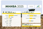Жнива-2025: Накопано понад 632 тис. т солодких коренів