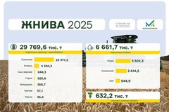 Жнива-2025: Накопано понад 632 тис. т солодких коренів