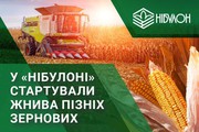 У «НІБУЛОНі» розпочато збиральну кампанію пізніх зернових культур